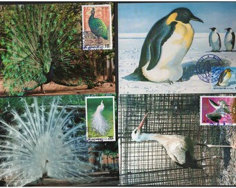 Rare MIX - 15 Postcards, MC - GERMANY + K , 1985-1996, Animals, Birds, Crocodiles, Nature, Bears, Eagles, Penguins, Peafowl, Frogs, Stork