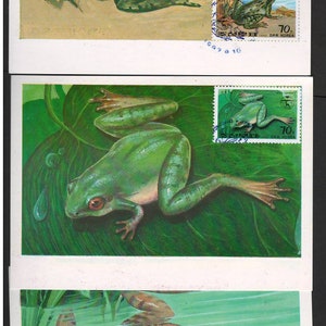 RARE - Set of 6 x POSTCARDS, MC - Maxi Cards from K- 1992, Nature, Frogs