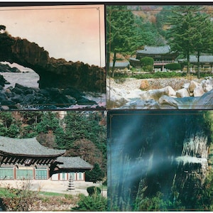RARE - 7 x nouvelles cartes postales inutilisées, de K - , nature, mer, pierres, cascade, rochers, oiseaux, arbres, architecture, chevaux