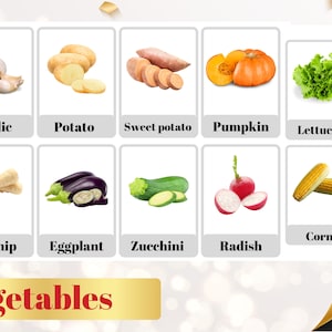 Verduras - 24 flashcards imprimibles - Nomenclatura de verduras - Aprendizaje Montessori-Tarjetas educativas - Vocabulario de verduras - PDF digital