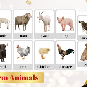 FARM ANIMALS - 24 Printable flashcards - Farm animals Nomenclature -Montessori Learning-Educational cards -Animals vocabulary - Digital PDF