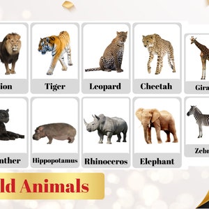 WILD ANIMALS - 40 Printable flashcards -Wild animals Nomenclature - Montessori Learning-Educational cards - Animals vocabulary- Digital PDF