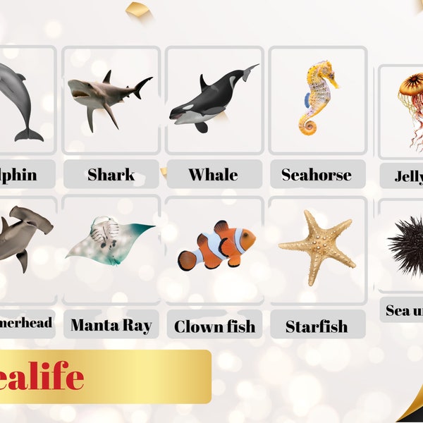 SEALIFE - 32 Printable flashcards - Ocean animals Nomenclature - Montessori Learning-Educational cards - Sealife vocabulary - Digital PDF