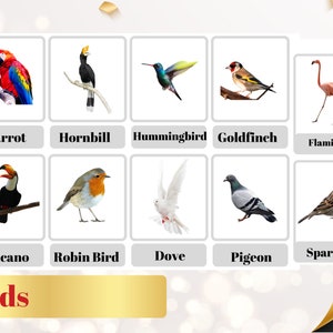 VOGELS - 32 afdrukbare flashcards - Vogelsnomenclatuur - Montessori Leren-Educatieve kaarten - Woordenschat van vogels - Digitaal PDF afdrukbaar bestand