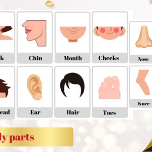 PARTES DO CORPO - 32 flashcards imprimíveis Partes do corpo Nomenclatura Cartões Montessori Cartões educacionais Vocabulário corporal Partes do corpo Arquivo PDF digital