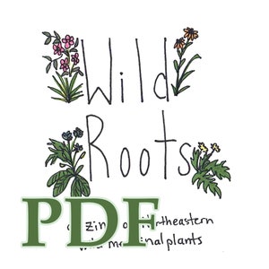 Wild Roots: a zine of Northeastern medicinal plants - PDF
