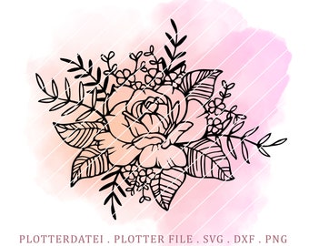 File plotter Rosa