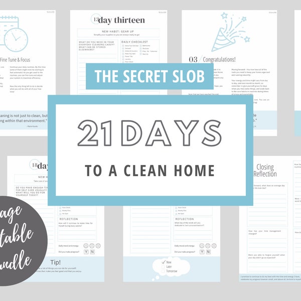 The Secret Slob: 21 Days to a Clean Home Challenge