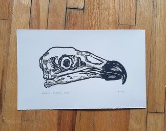 Andean Condor Skull Lino Print / Original Unframed Block Print