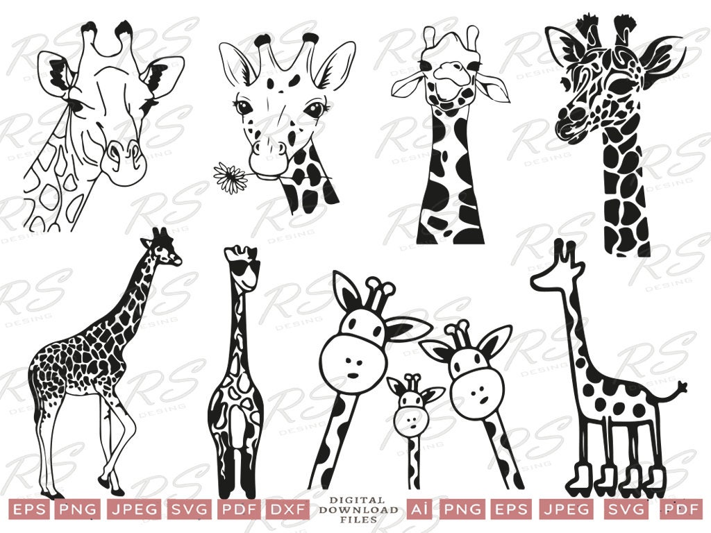 Funny Giraffe Svg Bundle Safari Animal Svg Giraffe Clipart - Etsy