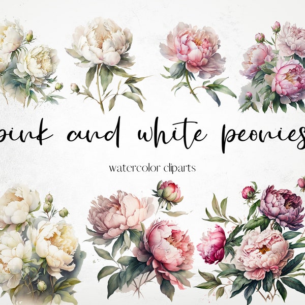 Watercolor Pink & White Peonies Clipart, Flowers Clipart, Roses Clipart, Watercolor Flowers Clipart Png, Commercial Use