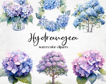 Watercolor Hydrangea Flowers Clipart, floral spring bouquets, Pink Hydrangeas, Flower clipart, Summer flowers clipart, Floral Bundle PNG