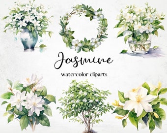 Watercolor Jasmine Clipart, Floral Clipart PNG, Wedding Bouquet Clipart