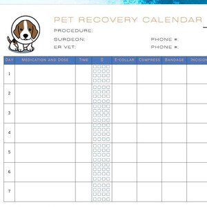 May include: A printable pet recovery calendar with a cartoon dog wearing a cone. The calendar includes sections for day, medication and dose, time, e-collar, compress, bandage, incision, and notes.