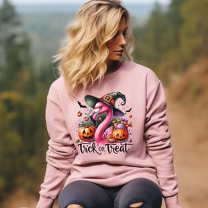 Halloween Flamingo Sweatshirt, Witch Pumpkin Autumn Fall, Unisex Crewneck, Trick or Treat Design