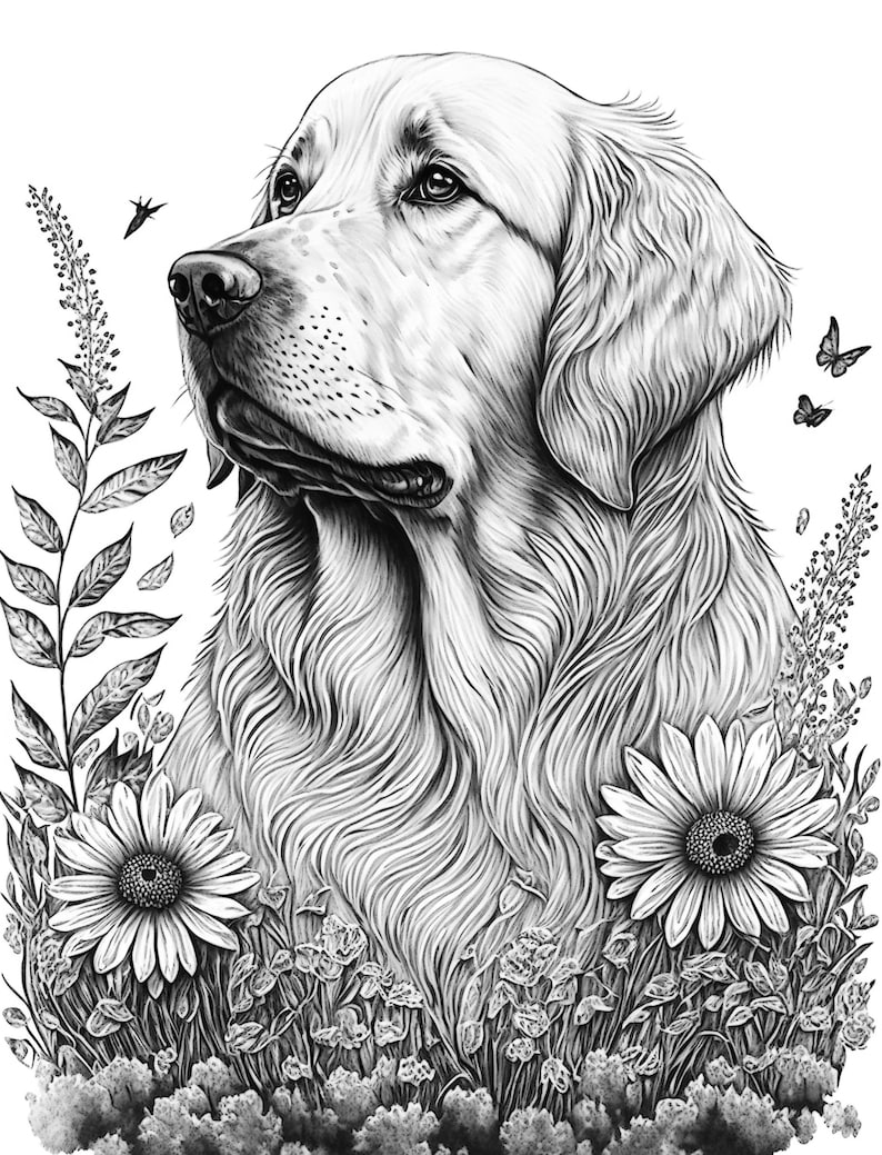Golden Retriever Adult Coloring - Il 794xN.4595206650 6zn7