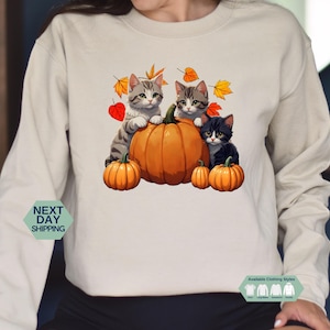 Cat Halloween Sweatshirt, Retro Halloween Shirt, Spooky Season Hoodie, Pumpkin Shirt, Cute Cat Lover Shirt, Black Cat, Halloween Gift