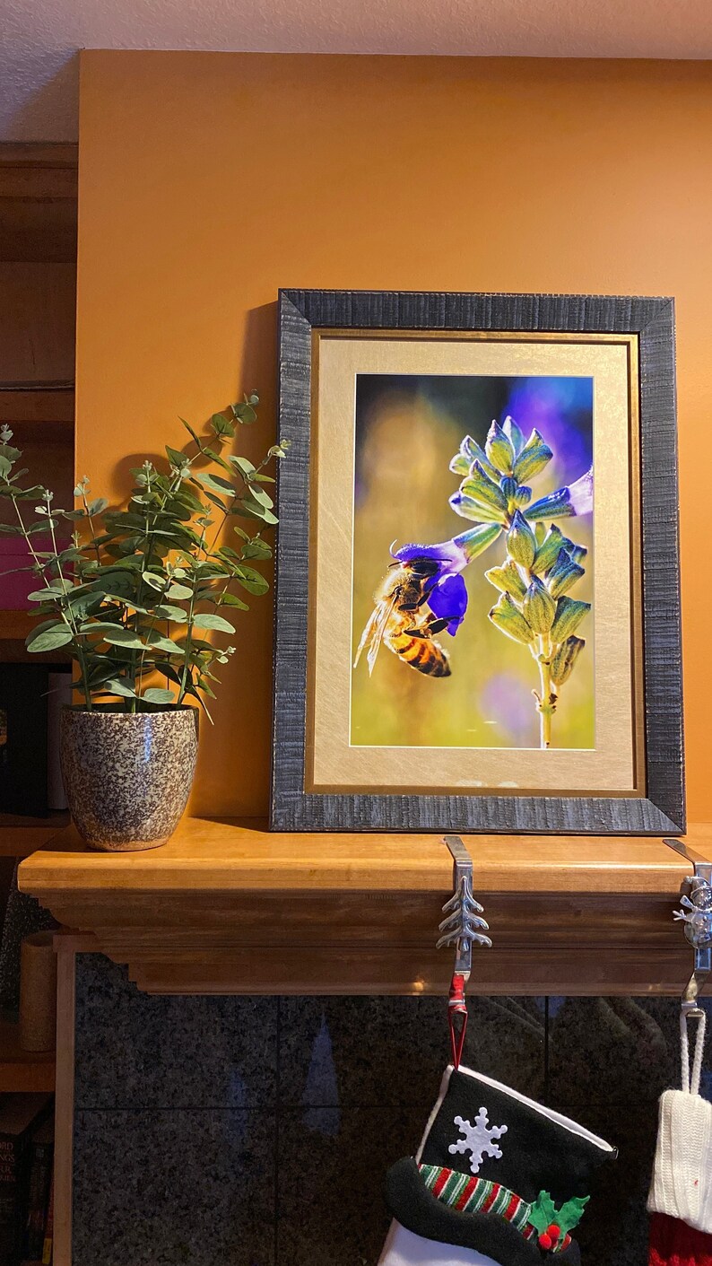 May include: A framed print of a bee pollinating a purple flower, with a gold mat and a dark gray frame. A potted plant sits to the left of the frame. The frame is on a wooden mantel, with Christmas stockings hanging below.