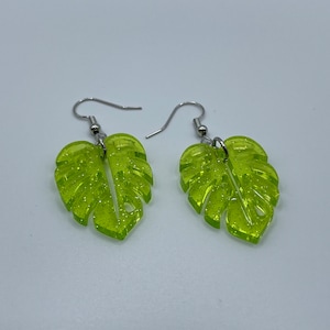 Mini monstera leaves