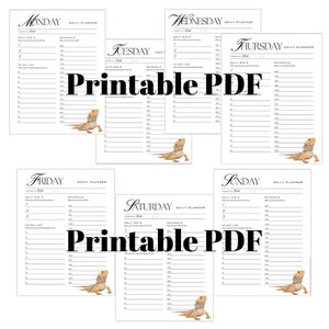 May include: A set of printable daily planner pages featuring a bearded dragon illustration. Each page includes sections for "Today's Date", "Daily Big 3", "Schedule", and "To-Do List".