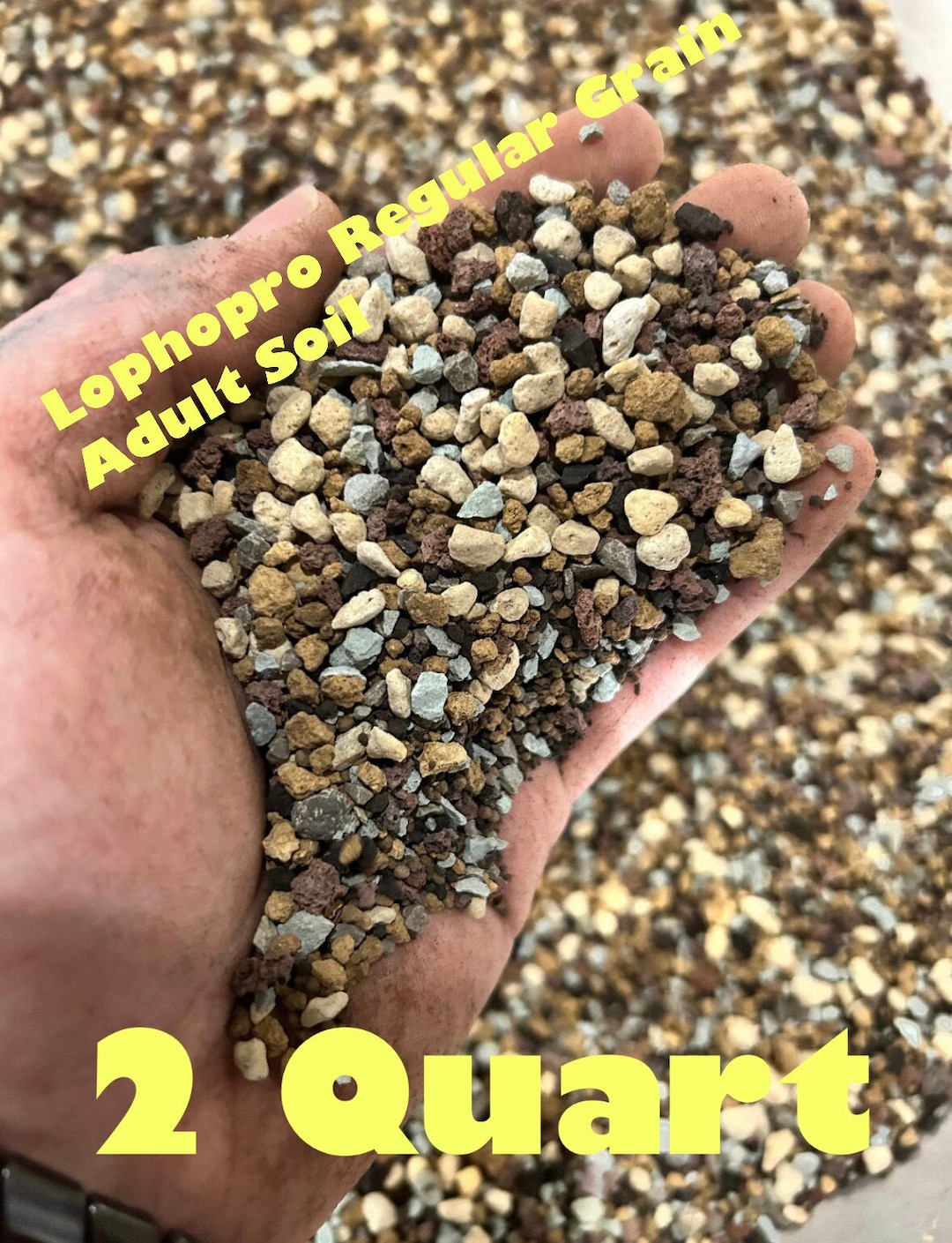 Regular Grain Adult Soil 2 Quarts Etsy