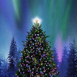 Fabric Panel CHRISTMAS TREE Aurora Borealis 24&quot; Quilt Cotton Timeless Treasures 2010