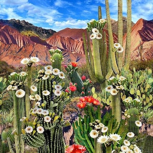 Fabric 24&quot; by 44&quot; Panel Southwest Sunset Cactus Scenery Timeless Treasures Quilt Cotton 3344