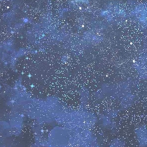 Fabric Twinkling Night Sky Navy Owl Always Love You Collection Timeless Treasures Quilt Cotton 8349