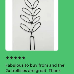 May include: Black metal plant trellis in a leaf design. The trellis has a U-shaped base for easy insertion into the soil. The design features several oval shapes resembling leaves.