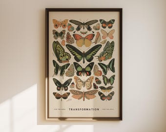 Botaniskt tryck med vintagefjäril, rustik insektsillustration (digital nedladdning)