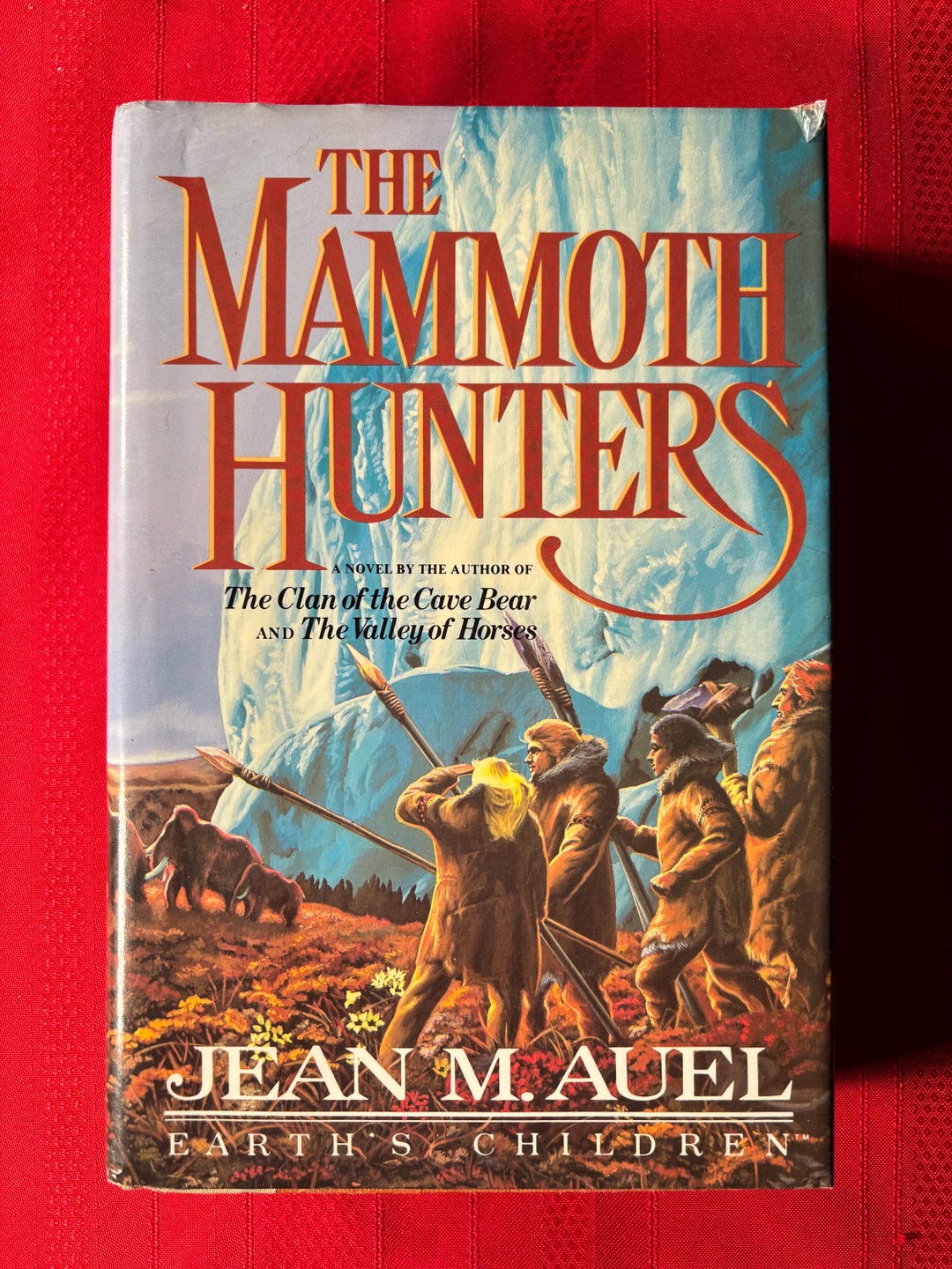 il_1080xN.6836471904_sce8.jpg