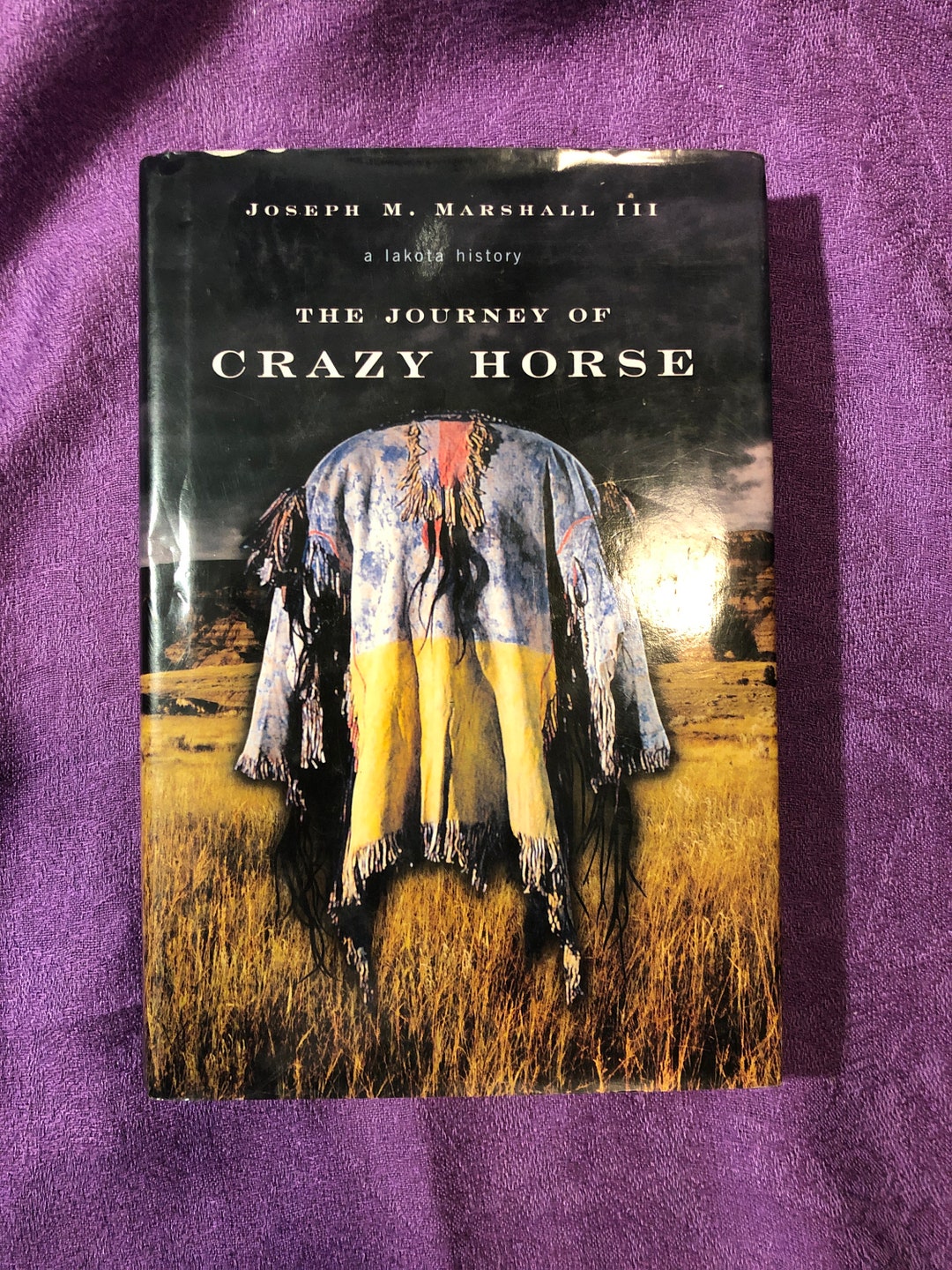 the journey of crazy horse a lakota history