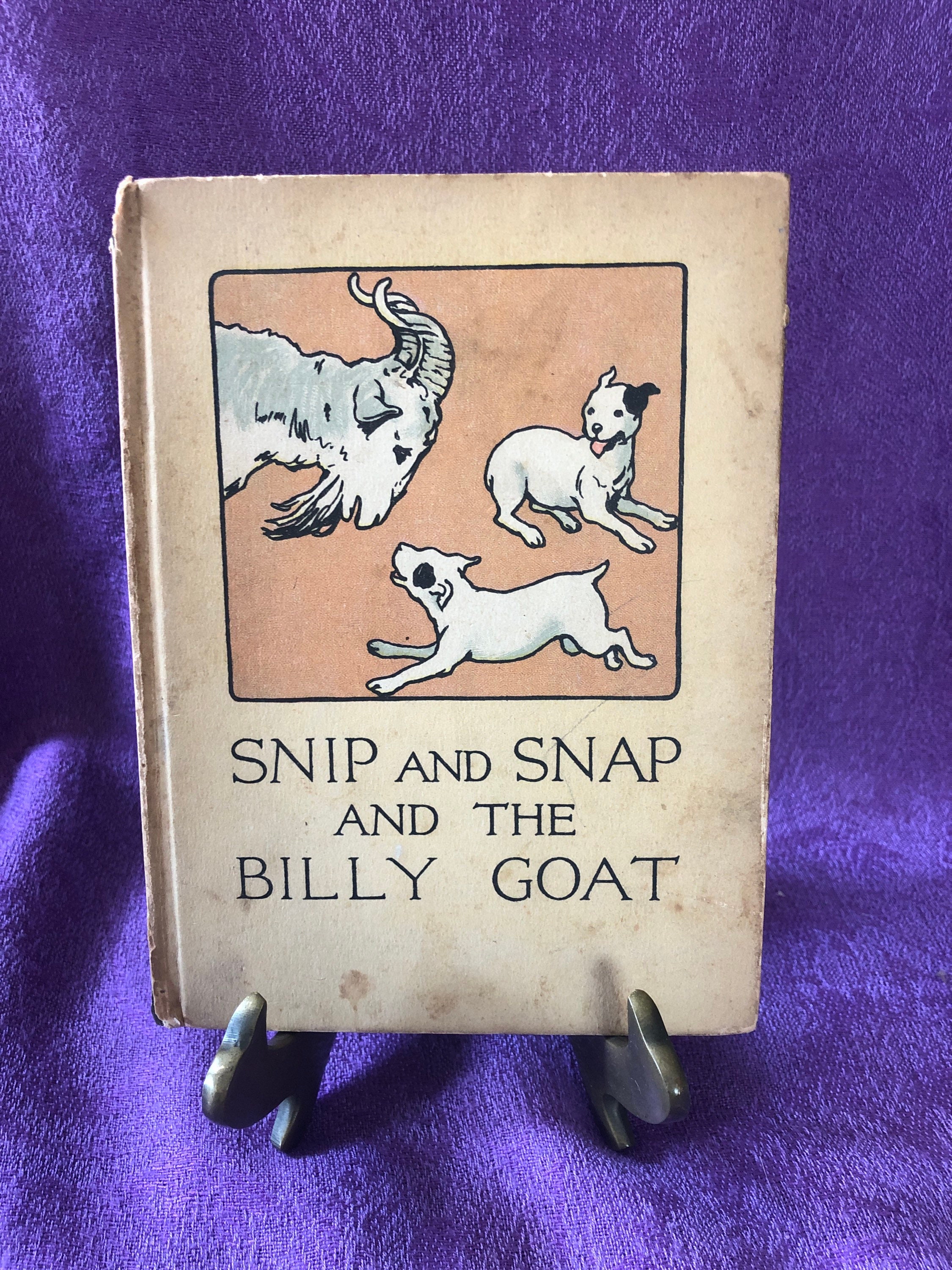 Snip and Snap and the Billy Goat, by George C Mason, First Edition Hardcover Book, 1914