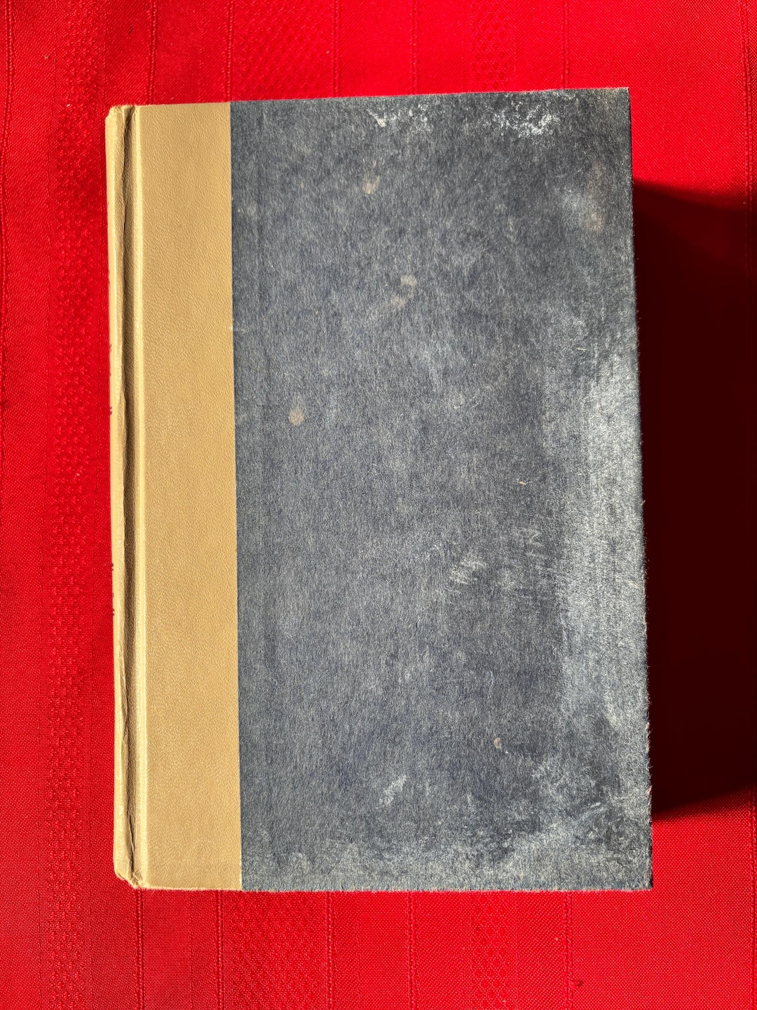 The Valley of Horses, A Novel, by Jean M. Auel, Earth's Children
