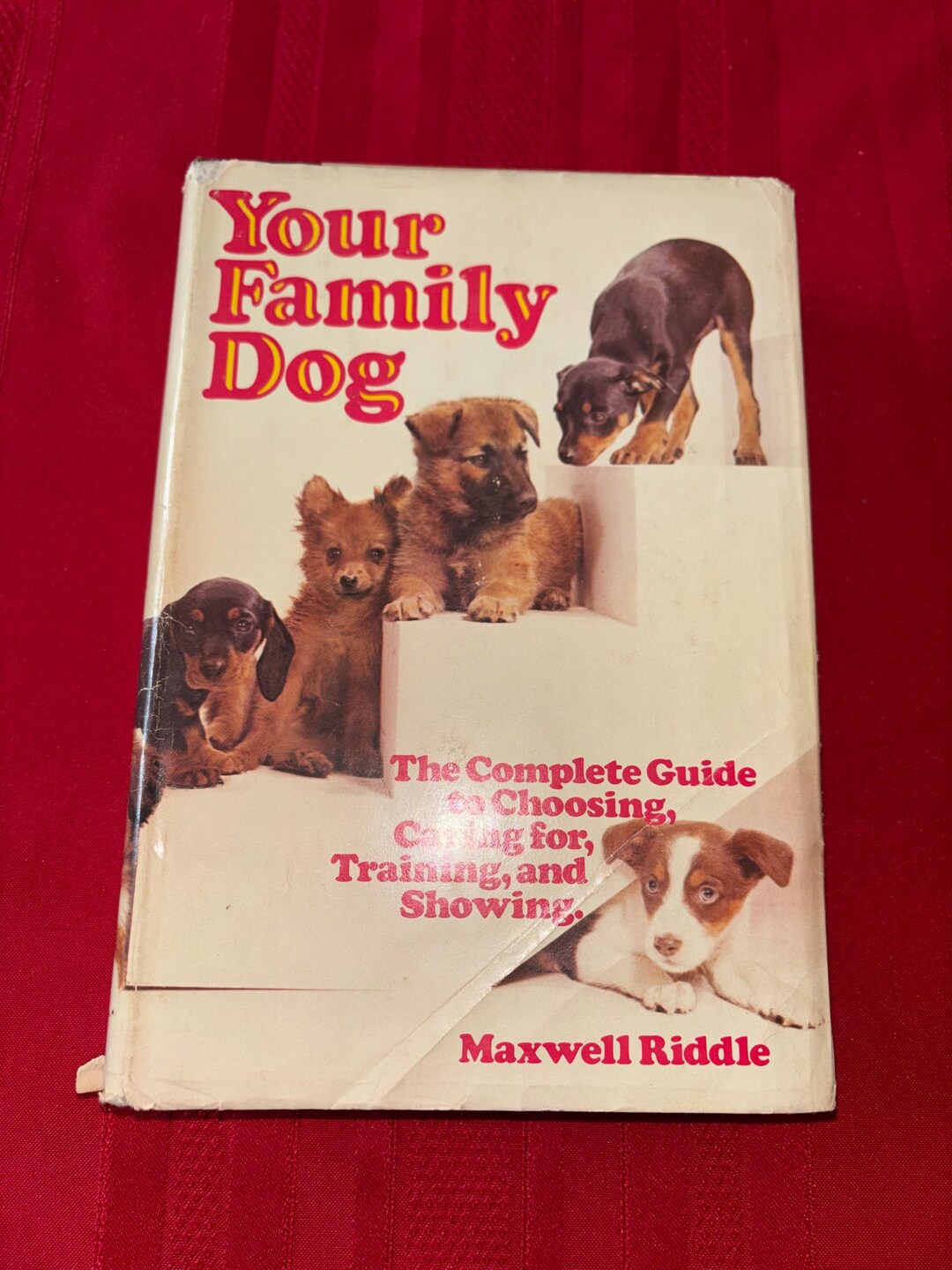 Maxwell Riddle Pointer Your Family Dog, the Complete Guide to Choosing, Caring For, Training ...