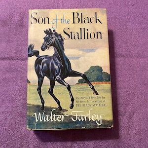 Sohn des schwarzen Stallion , von Walter Farley, Erstausgabe, 18. Druck, Hardcover-Buch, 1947