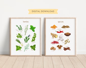 Set of 2 Herbs and Spices Educational Prints, Food Posters, Playroom Classroom Homeschool Wall Art Decor, Play Kitchen, DIGITAL DOWNLOAD