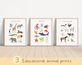 Set of 3 Animal Educational Prints, Nursery Playroom Decor, Colorful Classroom Home School Wall Art Printable, DIGITAL DOWNLOAD