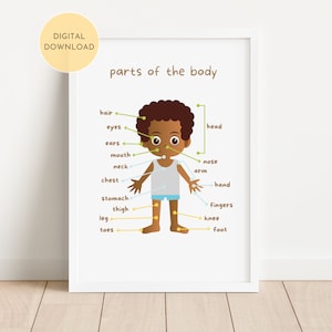 Parts Of The Body Educational Print, Body Learning, Playroom Classroom HomeSchool Wall Art, Colorful Montessori Poster, DIGITAL DOWNLOAD