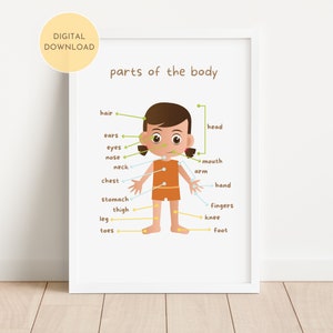 Parts Of The Body Educational Print, Body Learning, Playroom Classroom HomeSchool Wall Art, Colorful Montessori Poster, DIGITAL DOWNLOAD
