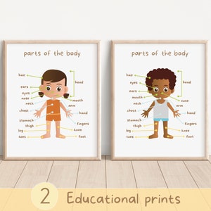 Set of 2 Parts Of The Body Educational Prints, Body Learning, Playroom Classroom HomeSchool Wall Art, Colorful Posters, DIGITAL DOWNLOAD