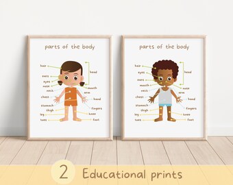Conjunto de 2 láminas educativas sobre las partes del cuerpo, aprendizaje corporal, arte mural para el aula, el hogar y la escuela, pósteres coloridos, descarga digital
