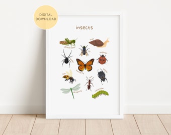 Insecten educatieve print, peuter leren poster, decor kinderkamer speelkamer, klaslokaal Home School kunst aan de muur, digitale DOWNLOAD