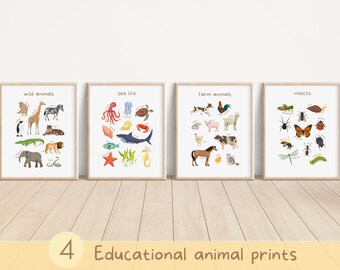 May include: Four educational animal prints in white frames on a wooden floor. The prints feature illustrations of wild animals, sea life, farm animals, and insects.