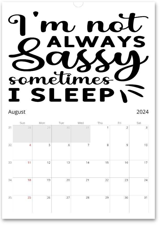 Sarcastic Wall Calendar Etsy Australia