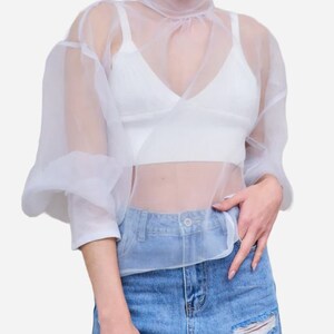 Sheer Organza Blouse