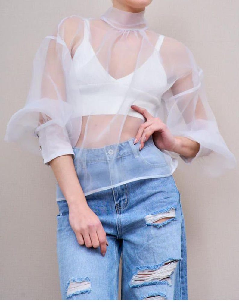 Sheer Organza Blouse main image 1
