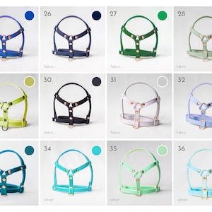 Harness for rabbits - Unique model for rabbits image 6