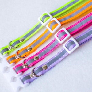 Op de afbeelding: Een verzameling felgekleurde dierenhalsbanden in neon groen, oranje, roze en paars. Elke halsband heeft een reflecterende zilveren streep, een witte plastic gesp en een metalen ring voor de riem.