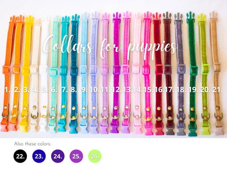 Collars for puppies and small dogs - Velvet image 2